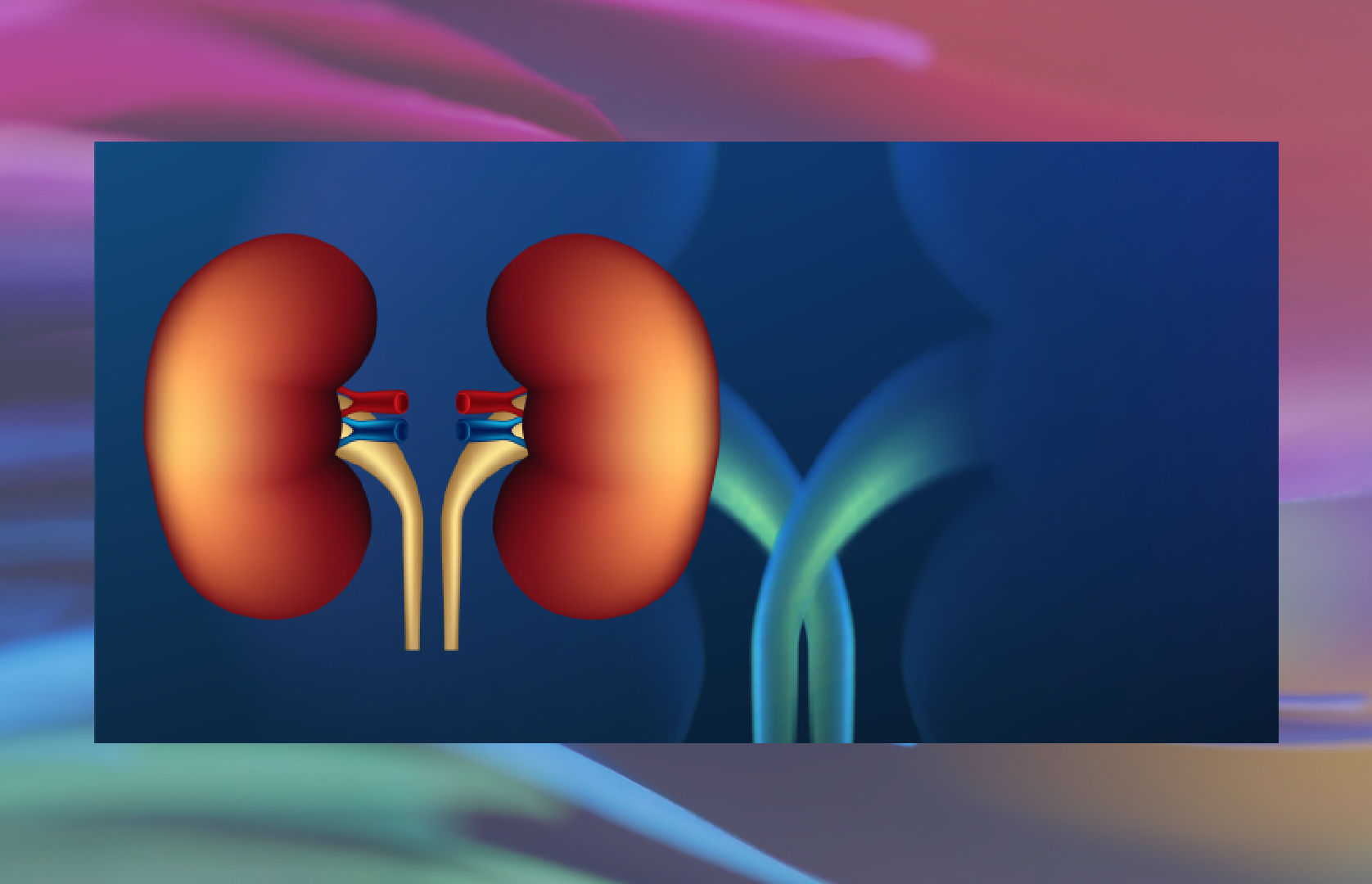 Η «σιωπηλή» νόσος των νεφρών: Τι πρέπει να ξέρετε